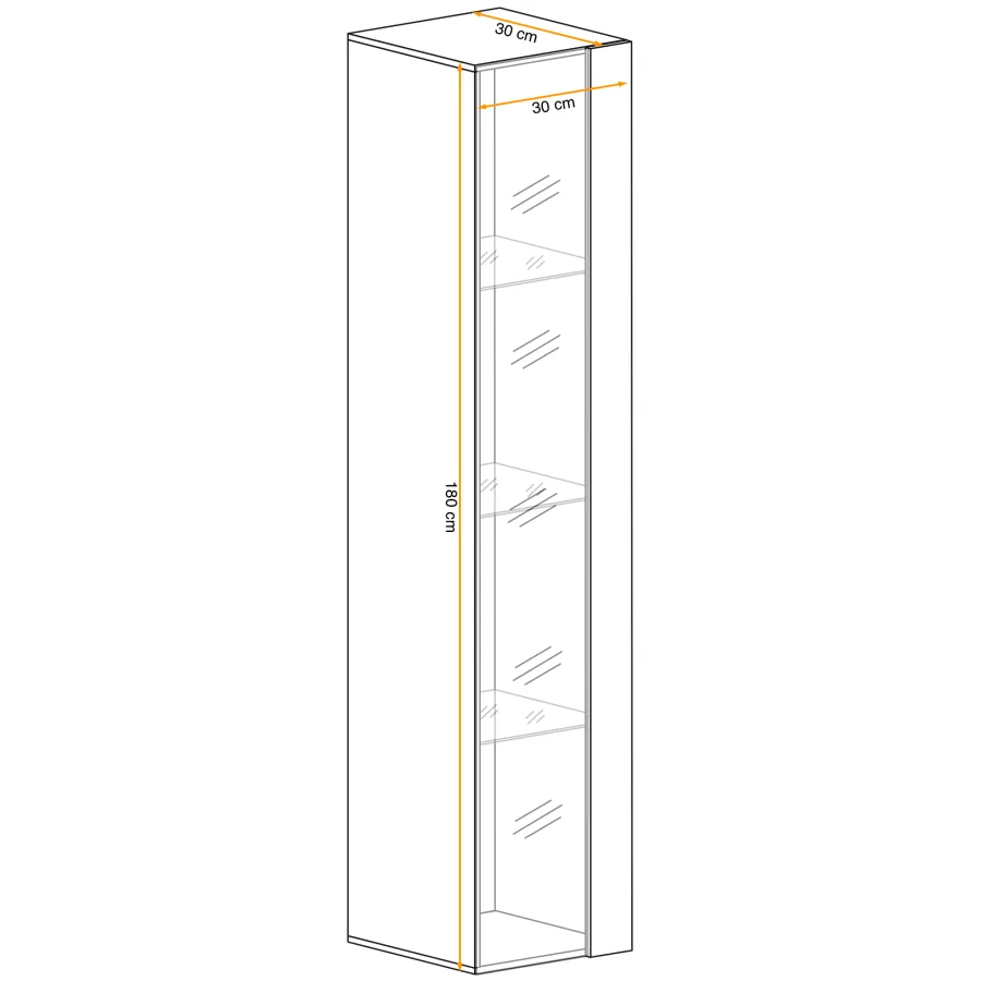 ויטרינת קיר Switch – ויטרינות – תמונה 4